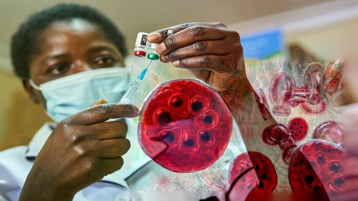 Malaria-could-be-eradicated-in-10-years